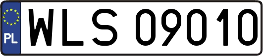 WLS09010