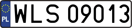 WLS09013