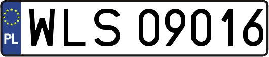 WLS09016