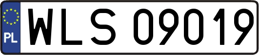 WLS09019