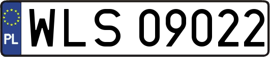 WLS09022