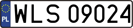 WLS09024