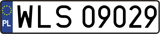 WLS09029