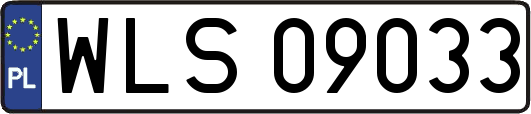 WLS09033