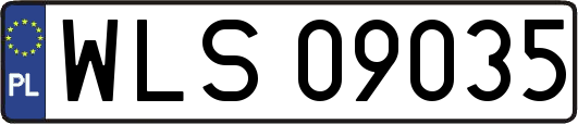 WLS09035