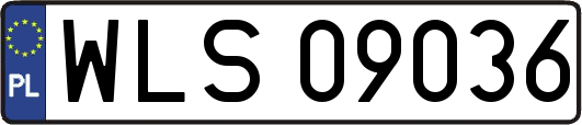 WLS09036