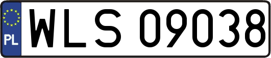 WLS09038