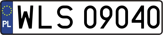 WLS09040