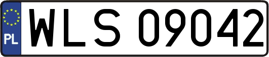 WLS09042