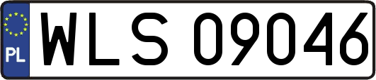 WLS09046