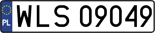 WLS09049