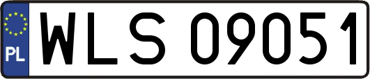 WLS09051