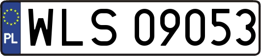 WLS09053