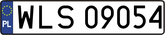 WLS09054