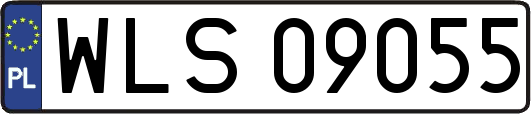 WLS09055