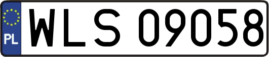 WLS09058