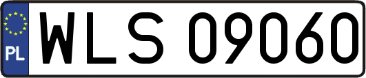 WLS09060