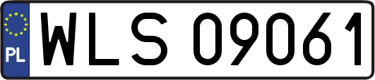 WLS09061