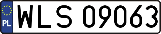 WLS09063