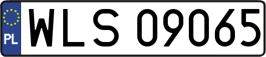 WLS09065