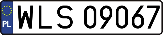 WLS09067