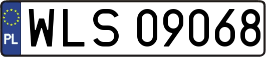 WLS09068