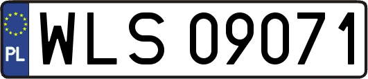 WLS09071