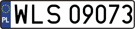 WLS09073