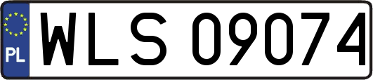 WLS09074
