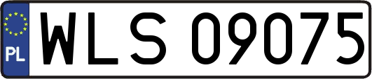 WLS09075