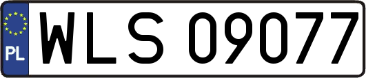 WLS09077