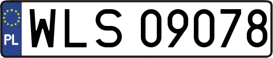 WLS09078
