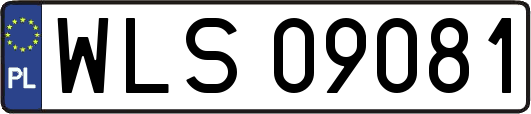 WLS09081