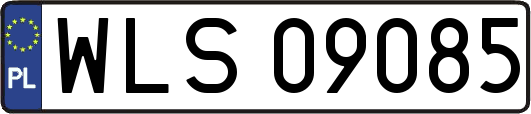 WLS09085