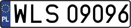 WLS09096