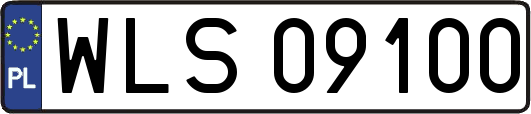 WLS09100