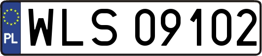 WLS09102