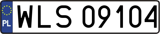 WLS09104