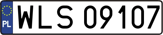 WLS09107
