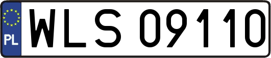 WLS09110