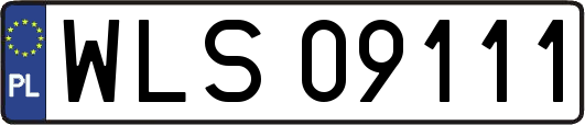 WLS09111
