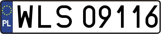 WLS09116