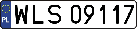 WLS09117