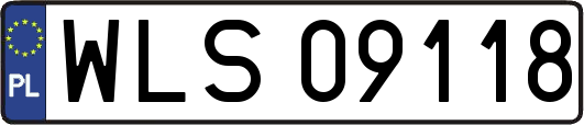 WLS09118