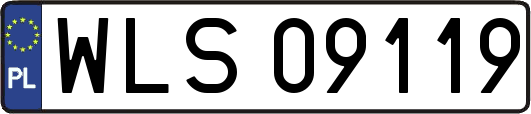 WLS09119