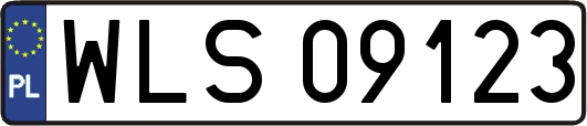 WLS09123