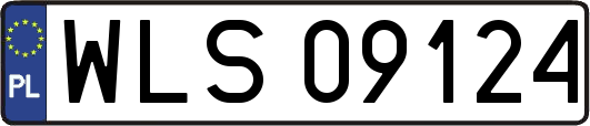WLS09124