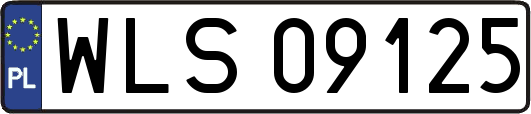 WLS09125