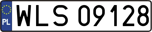 WLS09128