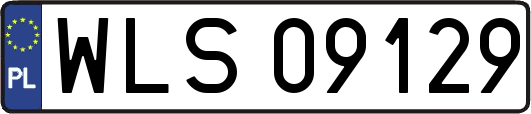 WLS09129